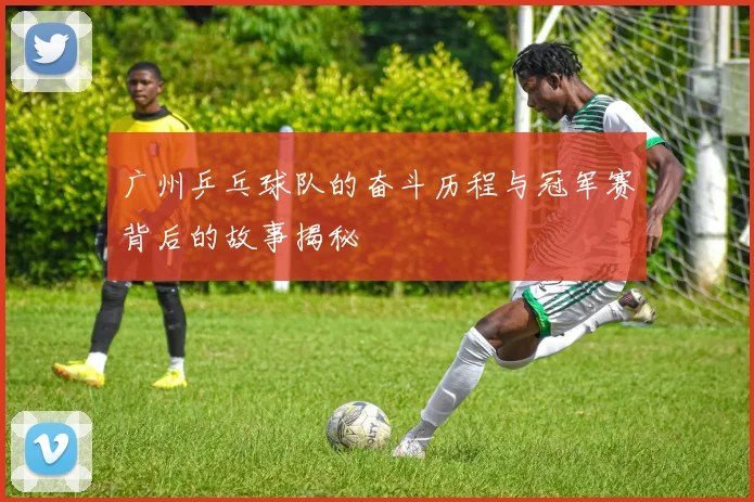 广州乒乓球队的奋斗历程与冠军赛背后的故事揭秘