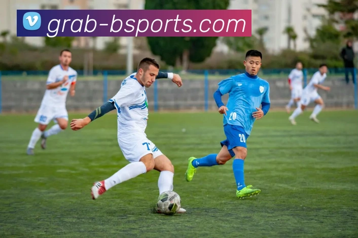 b体育平台生态图